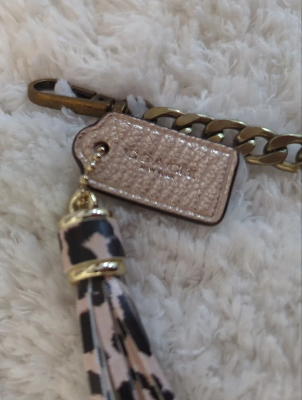 Coach key card